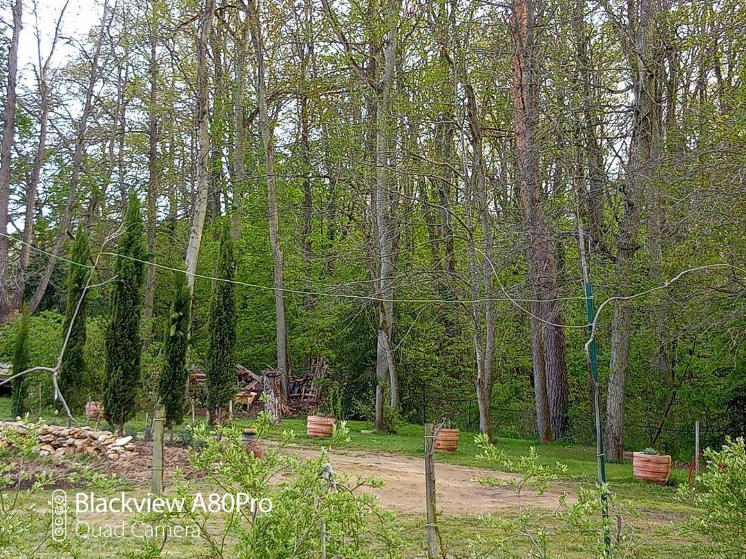 La Sablonniere De Rochefort Εξωτερικό φωτογραφία